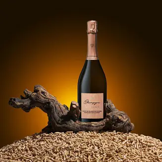 Champagne jeangout blanc de blanc copie