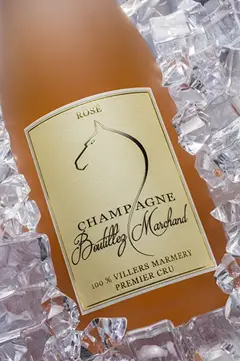 Champagne packshot bouteille copie