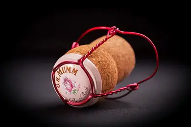 Mumm bouchon de champagne copie