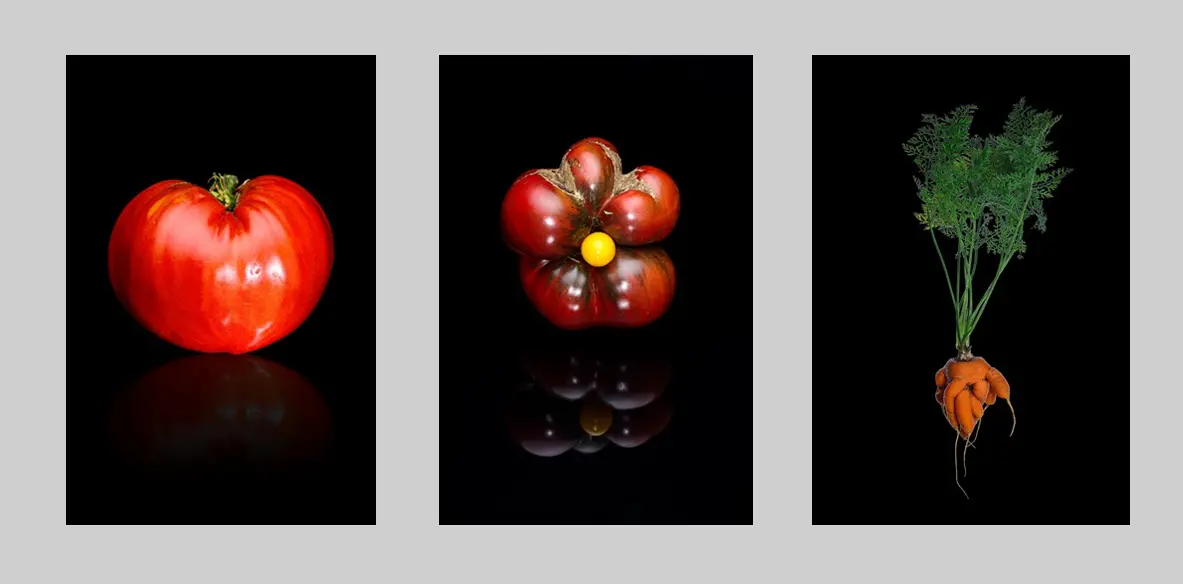 Photographe culinaire france