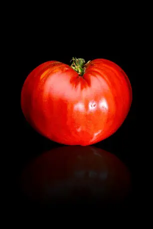 Photographe culinaire marne 51 copie