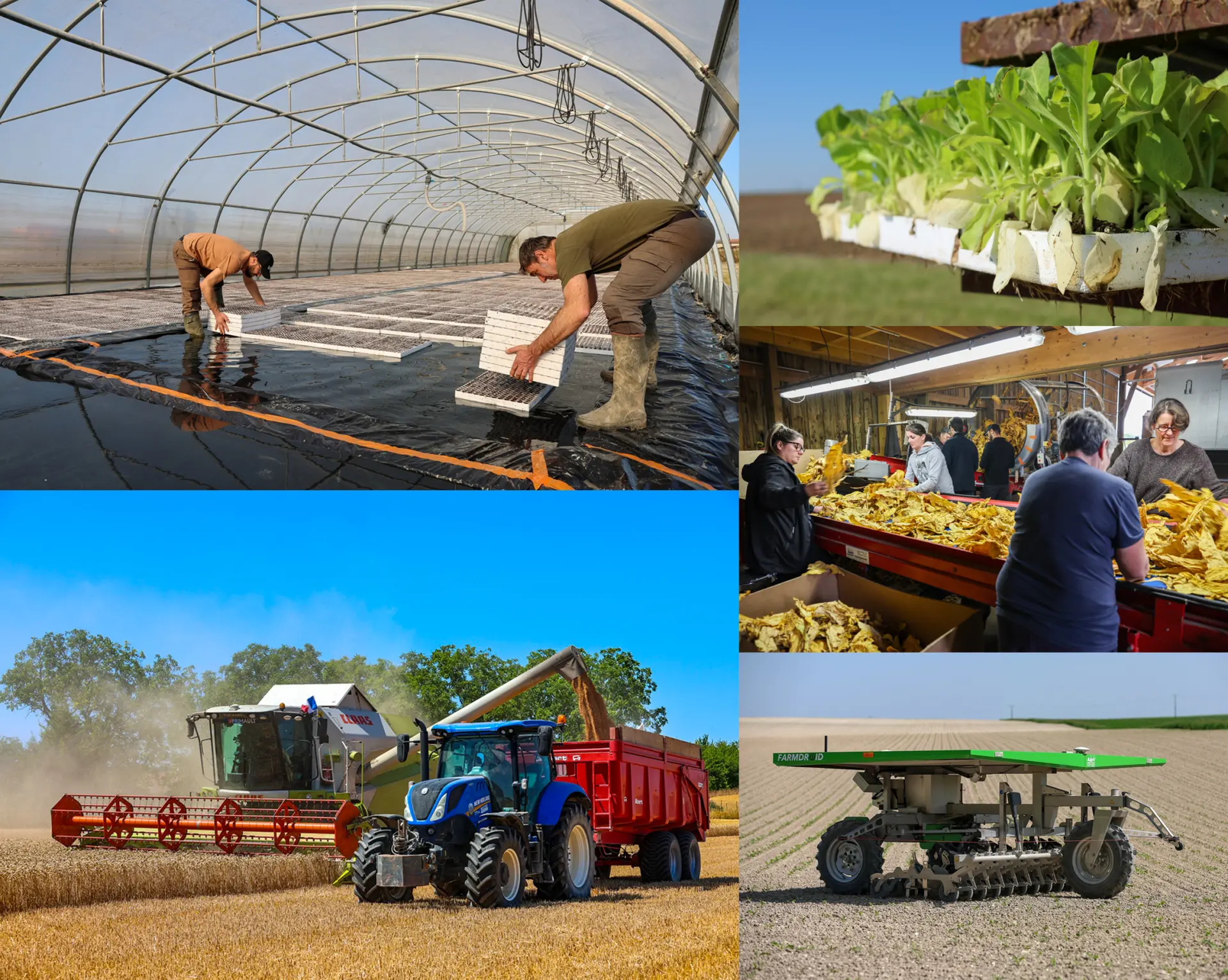 Photographe reportage agriculture