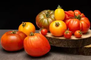 Reims photographe culinaire copie 1