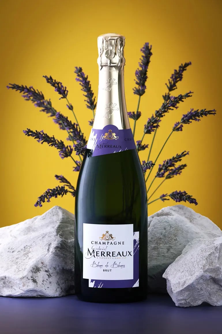 Vincent frodefond photographe champagne merreaux copie